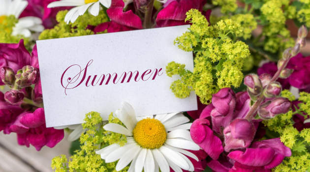 Summer flowers at the motel